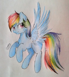 Size: 1920x2165 | Tagged: safe, artist:coffytacotuesday, rainbow dash, g4, female, solo, traditional art