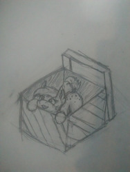 Size: 540x720 | Tagged: safe, artist:polakz, pony, box, dock, pony in a box, short tail, sketch, solo, traditional art