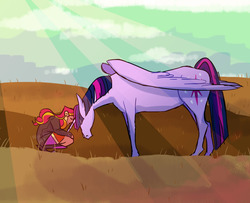Size: 1280x1040 | Tagged: safe, artist:stevetwisp, sunset shimmer, twilight sparkle, horse, equestria girls, g4, alternate universe, crepuscular rays, eyes closed, head down, hoers, smiling, squatting, twilight sparkle (alicorn)