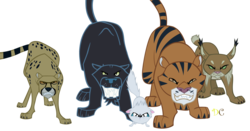 Size: 1766x928 | Tagged: dead source, safe, artist:dragonchaser123, mitsy, big cat, cat, cheetah, lynx, panther, tiger, daring don't, g4, ahuizotl's cats, animal, simple background, transparent background, vector