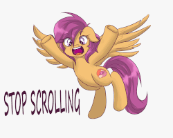 Size: 2500x2000 | Tagged: safe, artist:redheadfly, scootaloo, pegasus, pony, g4, animated, bronybait, cutie mark, dialogue, female, flailing, floppy ears, flying, gif, high res, looking at you, older, open mouth, scootaloo can fly, simple background, solo, spread wings, the cmc's cutie marks, underhoof, white background