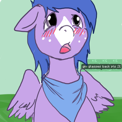 Size: 750x750 | Tagged: safe, artist:tacodeltaco, oc, oc only, oc:button, pegasus, pony, pony town, blushing, dialogue, freckles, looking at you, missing accessory, neckerchief, simple background, solo