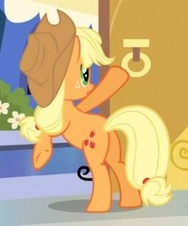 Size: 273x328 | Tagged: safe, screencap, applejack, earth pony, pony, g4, games ponies play, butt, cropped, female, freckles, mare, plot, solo