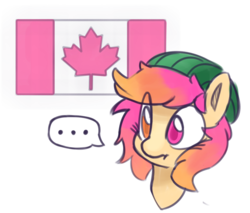 Size: 1076x916 | Tagged: safe, artist:lilfunkman, oc, oc only, oc:taco horse, canada, comic, flag, hat, heterochromia, solo