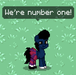 Size: 732x726 | Tagged: safe, pony, pony town, lazytown, ponified, robbie rotten, screenshots, solo, we are number one