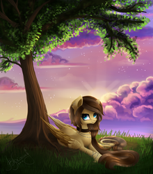 Size: 900x1025 | Tagged: safe, artist:likelike1, oc, oc only, pegasus, pony, cloud, collar, grass, prone, solo, tree