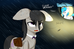 Size: 3872x2592 | Tagged: safe, artist:xaski21, dj pon-3, octavia melody, vinyl scratch, pony, g4, bowtie, floppy ears, high res, octavia is not amused, rain, umbrella, unamused, wet bowtie, wet mane