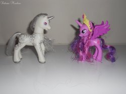 Size: 1024x768 | Tagged: safe, artist:ushi-de-bray, princess silver swirl, twilight sparkle, alicorn, pony, g2, g4, brushable, irl, photo, square crossover, toy, twilight sparkle (alicorn)