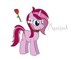 Size: 1000x800 | Tagged: safe, artist:mightyshockwave, oc, oc only, oc:rosebud, pony, choker, collar, flower, solo, tongue out