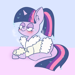 Size: 1042x1054 | Tagged: safe, artist:typhwosion, twilight sparkle, pony, g4, clothes, female, prone, solo