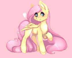 Size: 1280x1024 | Tagged: safe, artist:tolsticot, fluttershy, pegasus, pony, g4, blushing, chest fluff, cute, ear fluff, female, fluffy, heart, looking at you, raised hoof, shyabetes, simple background, smiling, solo, standing, turned head, unshorn fetlocks, wings