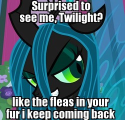 Size: 413x397 | Tagged: safe, edit, edited screencap, screencap, queen chrysalis, changeling, changeling queen, a canterlot wedding, g4, crash bandicoot (series), crash twinsanity, dr. neo cortex, female, fleas, image macro, meme, solo