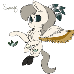 Size: 2000x2000 | Tagged: safe, artist:brokensilence, oc, oc only, oc:serenity, pegasus, pony, bandage, feather, high res, male, reference sheet, solo, stallion