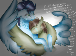 Size: 2585x1916 | Tagged: safe, artist:neonaarts, soarin', oc, oc:penumbra glow, pony, g4, crying, hug, text