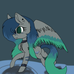 Size: 2000x2000 | Tagged: safe, artist:brokensilence, oc, oc only, pegasus, pony, adoptable, cute, high res, ota, solo