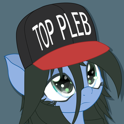 Size: 1000x1000 | Tagged: dead source, safe, artist:an-m, oc, oc only, oc:reflect decrypt, pony, blue background, bust, cap, hat, pony oc, portrait, simple background, solo, top gun hat