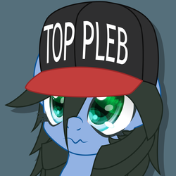 Size: 1000x1000 | Tagged: dead source, safe, artist:an-m, oc, oc only, oc:reflect decrypt, pony, blue background, bust, cap, hat, pony oc, portrait, simple background, solo, top gun hat, wavy mouth