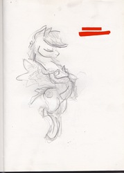Size: 834x1163 | Tagged: safe, artist:explonova, oc, oc only, oc:sky scribe, pony, sketch, solo