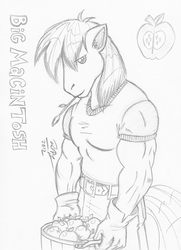 Size: 1029x1424 | Tagged: safe, artist:baikobits, big macintosh, earth pony, anthro, g4, male, monochrome, solo, traditional art