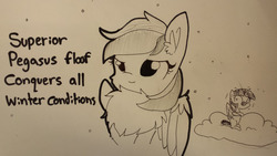 Size: 1280x720 | Tagged: safe, artist:tjpones, rainbow dash, twilight sparkle, alicorn, pegasus, pony, g4, chest fluff, cloud, cold, cute, duo, ear fluff, fluffy, freezing, grayscale, impossibly large chest fluff, monochrome, shivering, snow, snowfall, twilight sparkle (alicorn), winter