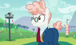 Size: 771x461 | Tagged: safe, screencap, svengallop, earth pony, pony, g4, the mane attraction, glasses, male, solo, stallion, svenabetes