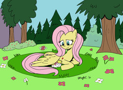 Size: 1024x752 | Tagged: safe, artist:cartoon-eric, fluttershy, pegasus, pony, shaymin, g4, clearing, crossover, cute, duo, female, flower, flower field, forest, looking at something, looking down, lying down, mare, outdoors, pokémon, pokémon in my little pony, prone, smiling, tree, wing blanket