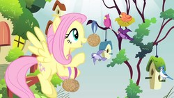 Size: 1280x720 | Tagged: safe, screencap, constance, fluttershy, bird, blue jay, pegasus, pony, songbird, filli vanilli, g4, bird house, chickadee (bird), female, flying, mare, music in the treetops, purple martin