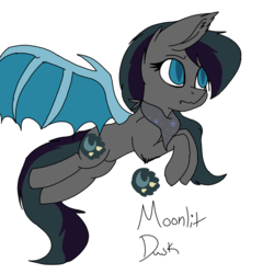 Size: 2000x2000 | Tagged: safe, artist:brokensilence, oc, oc only, oc:moonlitti dusk, bat pony, pony, blue eyes, blue wings, clothes, collar, female, high res, old art, reference sheet, scarf, solo