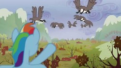 Size: 1280x720 | Tagged: safe, screencap, rainbow dash, bird, canada goose, goose, pony, g4, tanks for the memories, animal, female, flock, flying, i'll fly, mare, solo