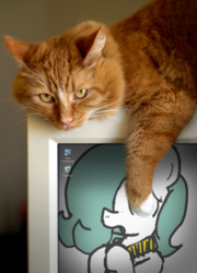 Size: 505x700 | Tagged: safe, artist:ficficponyfic, edit, oc, oc only, oc:emerald jewel, cat, colt quest, amulet, child, color, colt, computer, computer icon, foal, irl, male, microsoft windows, monitor, photo, photofunia, windows xp