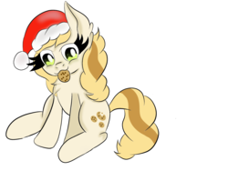 Size: 1600x1200 | Tagged: safe, artist:rainbowtashie, sweet biscuit, pony, g4, christmas, cookie, female, festive, food, hat, santa hat, simple background, sitting, solo, transparent background, waifu