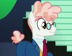 Size: 595x466 | Tagged: safe, screencap, svengallop, earth pony, pony, g4, the mane attraction, clothes, cute, glasses, male, necktie, smiling, solo, stallion, svenabetes, when he smiles