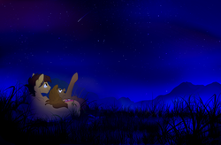 Size: 1024x671 | Tagged: safe, artist:rutkotka, oc, oc only, male, night, oc x oc, scenery, shipping, shooting star, straight