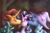 Size: 2400x1597 | Tagged: safe, artist:monnarcha, starlight glimmer, sunburst, trixie, pony, unicorn, g4, bisexual, bisexual female, blushing, bow, cheek kiss, female, kiss sandwich, kissing, lesbian, lesbian in front of boys, male, mare, mistletoe, ot3, polyamory, ship:starburst, ship:startrix, ship:startrixburst, shipping, straight, sunburst's cloak, trixie's cape, trixie's hat