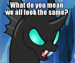 Size: 558x468 | Tagged: safe, edit, edited screencap, screencap, thorax, changeling, g4, the times they are a changeling, angry, caption, image macro, male, meme, racism, solo
