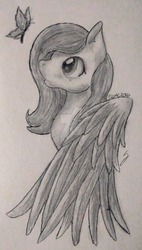 Size: 1024x1803 | Tagged: safe, artist:anxiouslilnerd, fluttershy, butterfly, pegasus, pony, g4, cute, drawing, sketch, traditional art, watermark