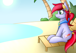 Size: 1000x700 | Tagged: safe, artist:ceejayponi, oc, oc only, oc:azimuth, crystal pony, pony, beach, solo