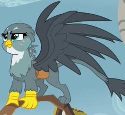 Size: 816x755 | Tagged: safe, screencap, gabby, griffon, g4, the fault in our cutie marks, female, solo