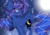 Size: 4093x2894 | Tagged: safe, artist:xxsunsetshimmer23xx, oc, oc only, oc:princess half crescent moon, alicorn, pony, alicorn oc, fangs, high res, not luna, offspring, parent:princess luna, slit pupils, solo