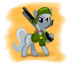Size: 4085x4485 | Tagged: safe, artist:stormythetrooper, silver spoon, earth pony, pony, g4, absurd resolution, female, gun, helmet, soldier, solo, weapon