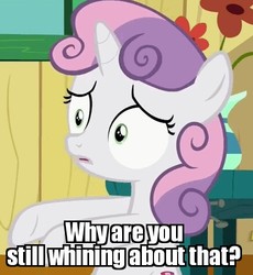 Size: 437x475 | Tagged: safe, edit, edited screencap, screencap, sweetie belle, pony, g4, the fault in our cutie marks, caption, confused, female, flower, image macro, meme, reaction image, solo, table, vase, window
