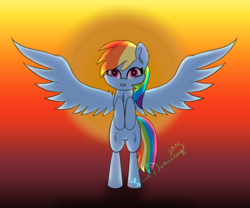 Size: 1360x1130 | Tagged: safe, artist:limedreaming, rainbow dash, pony, g4, female, solo, spread wings, sunset