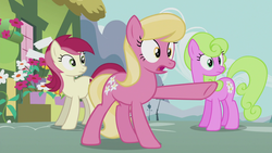 Size: 1920x1080 | Tagged: safe, screencap, daisy, flower wishes, lily, lily valley, roseluck, pony, g4, slice of life (episode), female, flower trio, pointing, trio, trio female