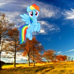 Size: 1137x1137 | Tagged: safe, rainbow dash, pony, g4, autumn, flying, irl, looking at you, photo, ponies in real life, solo