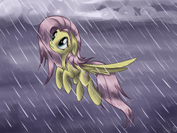 Size: 2000x1500 | Tagged: safe, artist:sirzi, fluttershy, pony, g4, female, flying, looking up, overcast, rain, solo, spread wings, wet mane