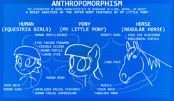 Size: 1034x600 | Tagged: safe, horse, pony, equestria girls, g4, anthropomorphism, blueprint, comparison, diagram