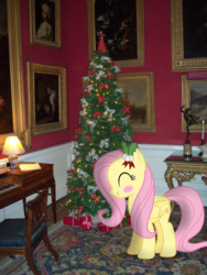 Size: 2736x3648 | Tagged: safe, artist:harvydraws, fluttershy, pegasus, pony, g4, blushing, book, chair, christmas, christmas lights, christmas tree, clavichord, cute, decoration, female, high res, holiday, holly, irl, mare, musical instrument, photo, photoshop, ponies in real life, present, shyabetes, smiling, solo, table, tree, updated, vector