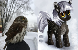 Size: 1539x994 | Tagged: safe, artist:xbi, oc, oc only, oc:silver owl, bird, bird pone, owl, owl pony, pegasus, pony, :t, chest fluff, cute, fluffy, looking at you, photo, ponified, smiling, snow, solo