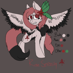 Size: 2000x2000 | Tagged: safe, artist:brokensilence, oc, oc only, oc:rose serenity, pegasus, pony, chest fluff, female, gardenhorse, high res, reference sheet, solo