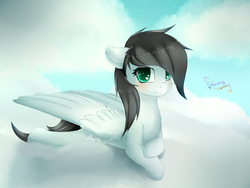 Size: 1600x1200 | Tagged: safe, artist:shan3ng, oc, oc only, pegasus, pony, cloud, female, mare, prone, solo